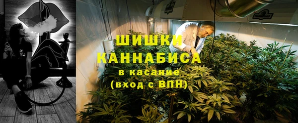 соль ск Краснослободск