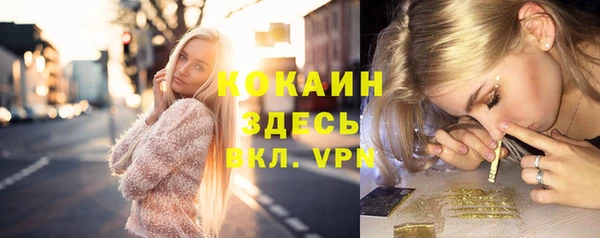соль ск Краснослободск