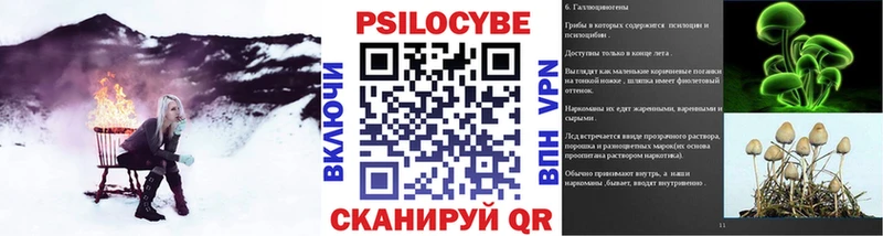 Купить где  Оренбург  Галлюциногенные грибы прущие грибы 